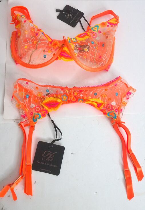 Honey Birdette Other - Honey Birdette Dixie Orange Bra 30G And Garter XS Embroidered Sheer Set